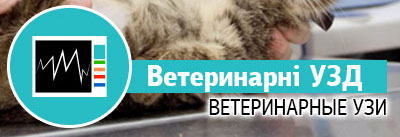 Ветеринарні УЗД Ветеринарні УЗД